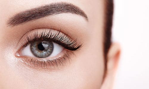 Lash and Brow Course